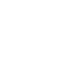 fbicon